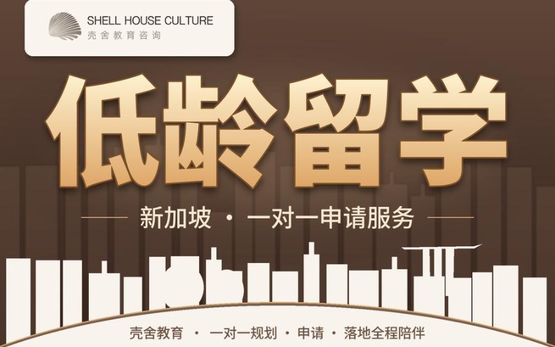 深圳新加坡低龄留学一对一申请服务