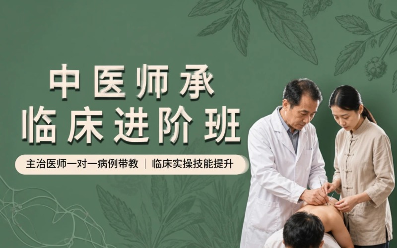 深圳中医师承临床进阶班