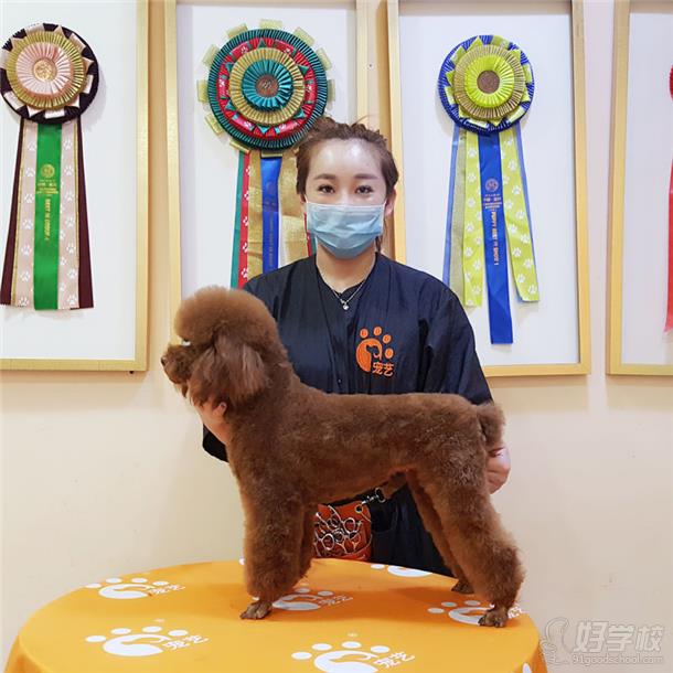 北京宠艺宠物美容师培训中心学员董旭