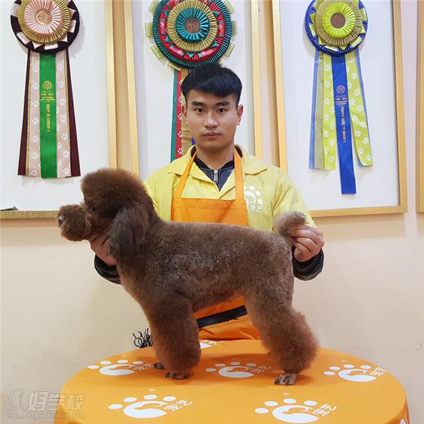 北京宠艺宠物美容师培训中心周兴念学员