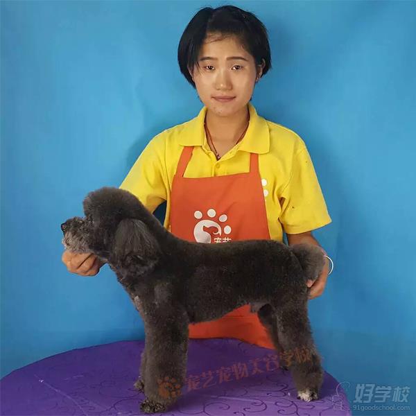 北京宠艺宠物美容师培训中心学员孙芳