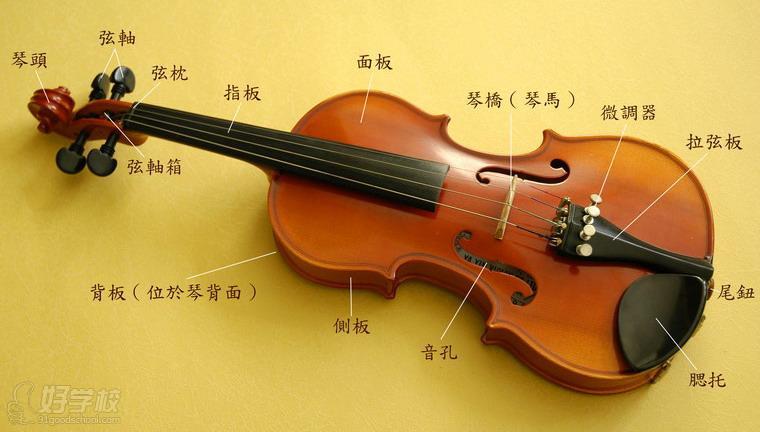 小提琴（violin）