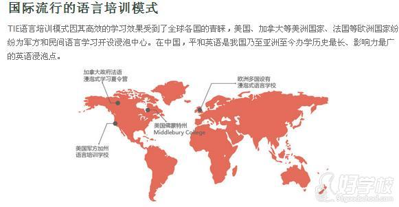 国际流行的语言培训模式