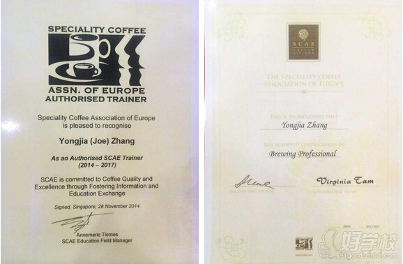 广州scae咖啡研磨与萃取培训班金杯冲煮