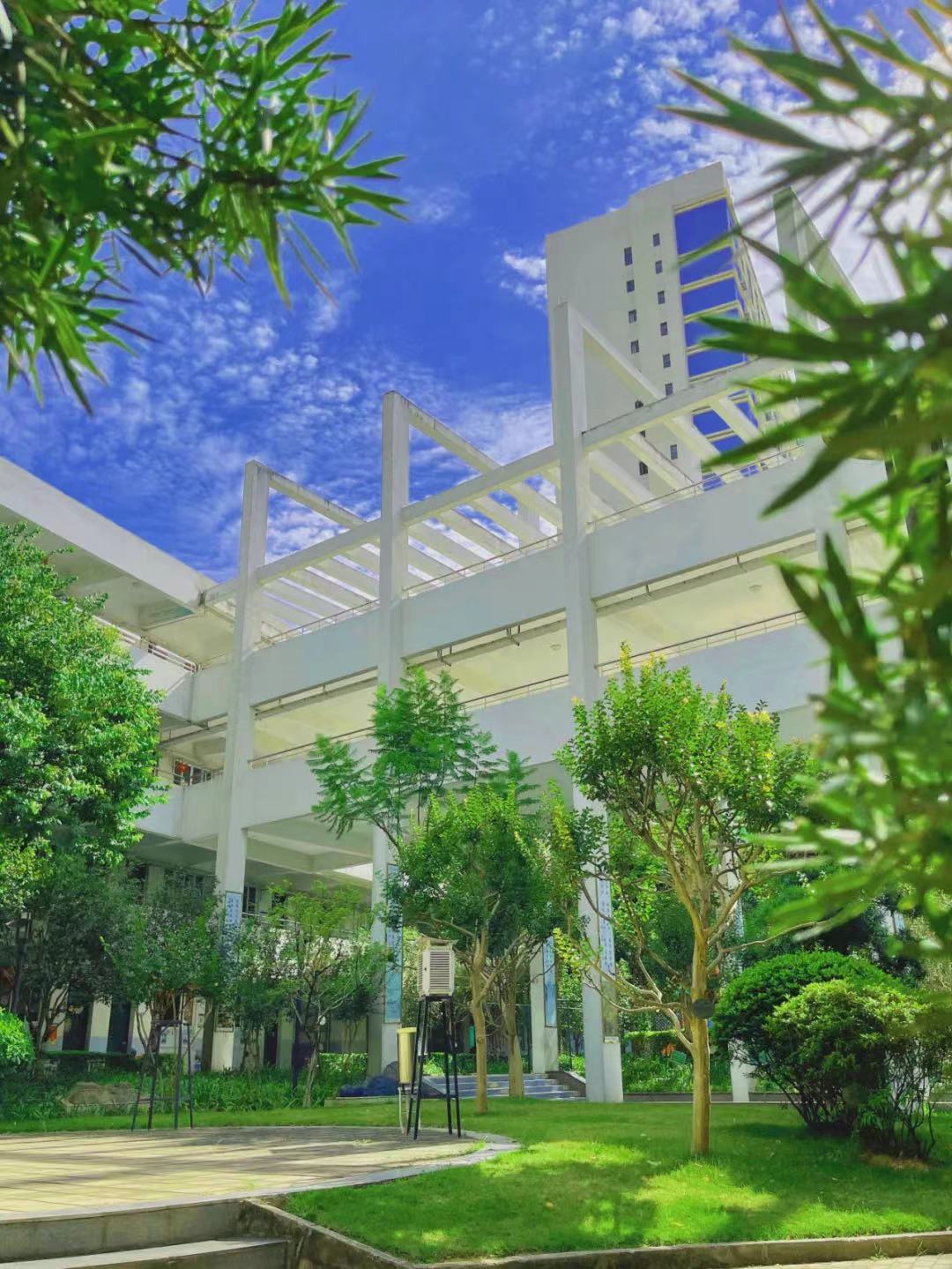 学校环境
